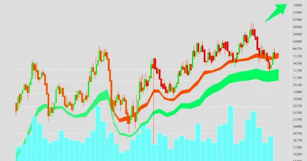 Analyzing S&P 500 Stocks Performance Post-Trump’s Election