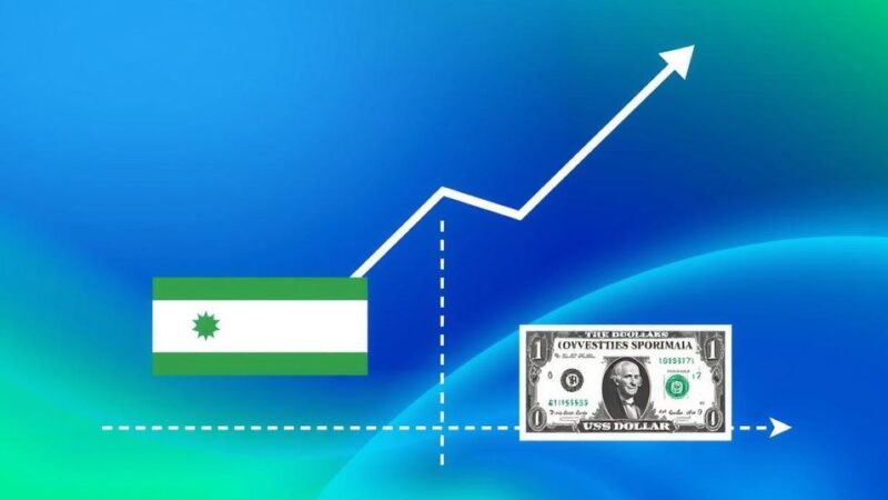 Factors Contributing to the Depreciation of the Tanzanian Shilling Against the US Dollar