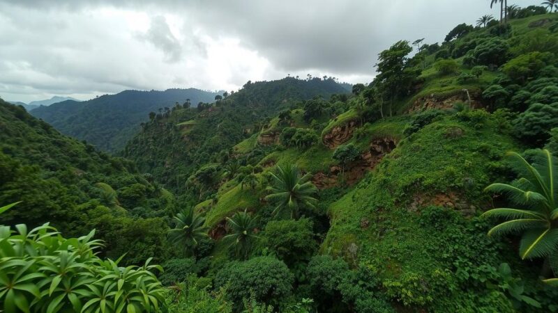 M23 Rebels in Eastern Congo Leverage Military Gains to Avoid Talks