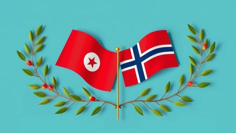 A conceptual representation of Tunisia and Denmark's cooperation, featuring flags and symbols of connection.